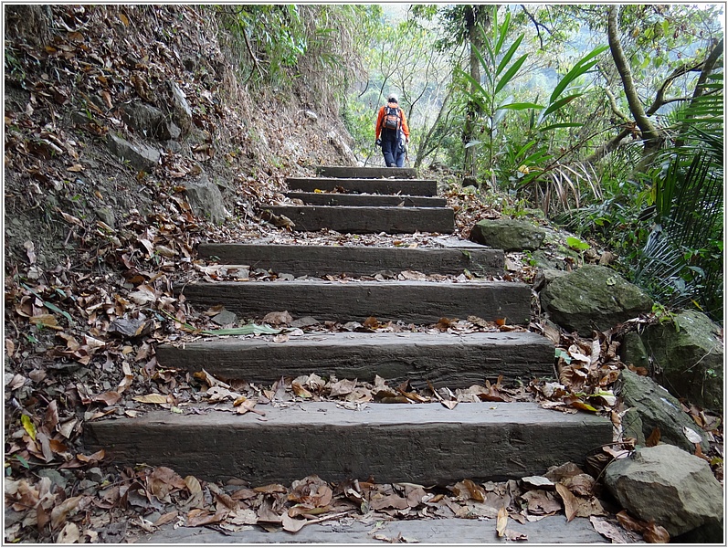 2015-03-23 09-37-38走在獨立山步道.JPG